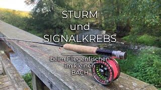 STURM und SIGNALKREBS beim Fliegenfischen im kleinen Bach / STORM and SIGNAL CANCER  fly fishing