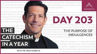 Day 203: The Purpose of Indulgences — The Catechism in a Year (with Fr. Mike Schmitz)