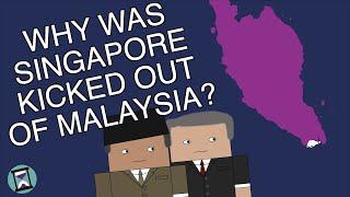 Why Was Singapore Kicked Out of Malaysia? (Short Animated Documentary)