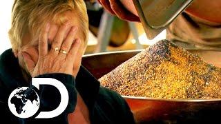 The Largest Gold Clean Up In Gold Rush History | SEASON 7 | Gold Rush