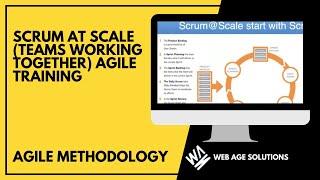 Scrum at Scale (Teams working together) AGILE TRAINING