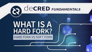 Hard Fork vs Soft Fork - Decred Fundamentals