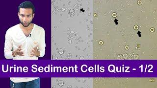 Urine Sediment Cell Identification Training Quiz - 1/2