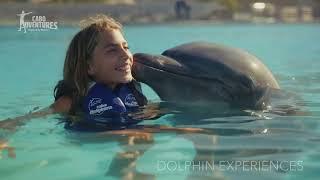 Swim with Dolphins in Cabo: An Unforgettable Family Adventure!