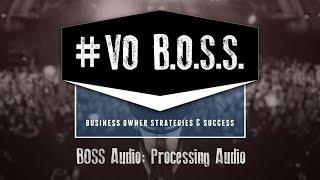 VO BOSS: Processing Audio