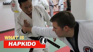 What is Hapkido?