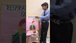 Science project || Respiratory system || presentation