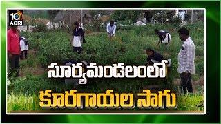 సూర్యమండలంలో కూరగాయల సాగు | Matti Manishi | 10TV News