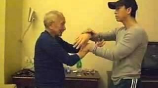 Ip Chun Donnie Yen Chi Sao