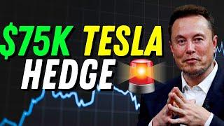 How I Hedged $75K on Tesla Stock to Avoid Huge Losses (Step-by-Step) 