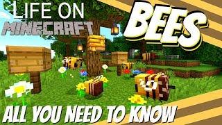 Minecraft Bee: Everything So Far About the Minecraft Bee (19w34a 1.15 - Life on Minecraft with Avo)