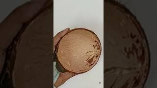 #shorts #coconut shell reuse  #shortsvideos