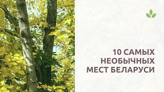 Топ 10 самых необычных мест Беларуси | 16+