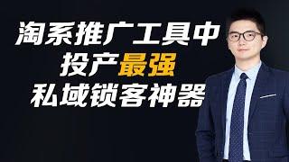 淘系众推广工具中投产最强私域锁客神器教程