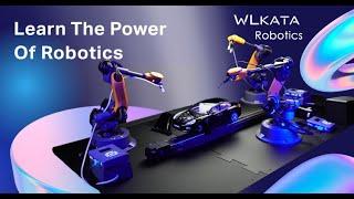 Wlkata Mirobot desktop robotics arm vocational education training