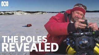 What it's like working as a marine ecologist in Antarctica | The Poles Revealed