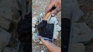 Waterproof Fire Starter From Coal and Wood Shavings. #survival #lifehacks #skills