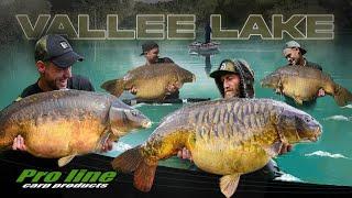 Monster Carp Session - Vallee Lake Recap Team Pro Line 2021