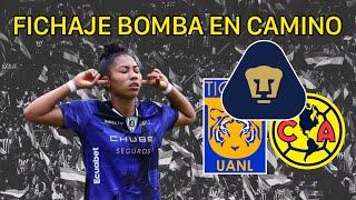 La ecuatoriana Nayeli Bolaños será refuerzo en la Liga MX Femenil El DT de Pumas Femenil la pidió