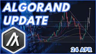 BLACKROCK COMING TO ALGO? | ALGORAND (ALGO) PRICE PREDICTION & NEWS 2024!