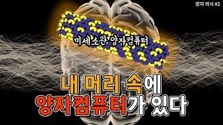 우리의 머리가 양자컴퓨터라고? 뉴런보다도 더 작은 컴퓨터, 미세소관 (양자 의식 #2)