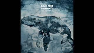 Cosmo Sheldrake - Nekton