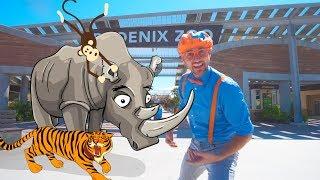 Blippi Visits a Zoo (Phoenix Zoo) | Blippi Full Episodes | Fun Animals for Children | Blippi Toys