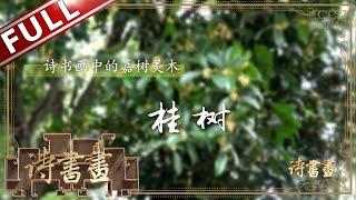 《诗书画》桂树 不是人间种 移从月中来 || 20191214【东方卫视官方高清HD】