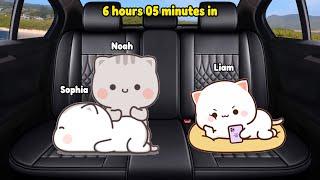 Cat Animation Road Trip Part 2