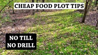 Poor Man's Food Plot, AKA Micro Plot - How and Where to Plant