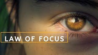 Law of Focus