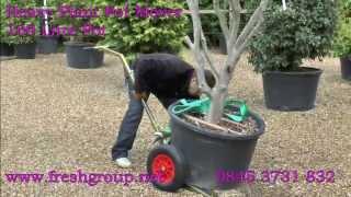 Pot Mover for moving large, heavy plant pots