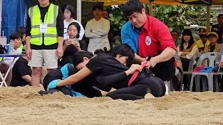 여자씨름 준결승전   대전효문화뿌리축제