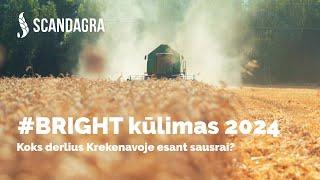 Pirmasis #BRIGHT kūlimas 2024! Kokie rezultatai?