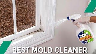 Best Mold Cleaner – Cheap & Useful!