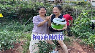 基地终于完工啦，表妹也跟我来到乡下，在海外多年的她，第一次下地每样都觉得新奇，连跨个篱笆墙都那么搞笑