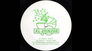 Steffi & Stingray - Explanatory Power [KL-20IN20B]