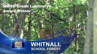 Whitnall School Forest | MMSD Green Luminary® Award