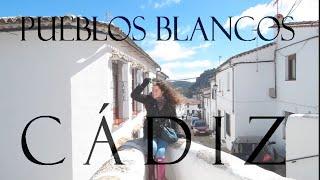 Ruta de los pueblos blancos - Cádiz