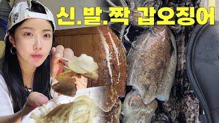 [낚시] 지금 이 곳은 신.발.짝 갑오징어 절찬리 진행중 / fishing