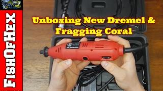 Unboxing New Dremel & Fragging Coral