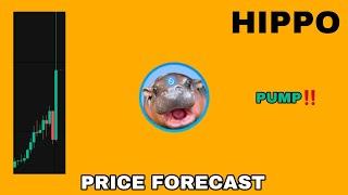 HIPPO COIN PUMP POSSIBLE IN 2024‼️ SUDENG PRICE FORECAST‼️ BINANCE FUTURES WILL LAUNCH HIPPO ON SUI