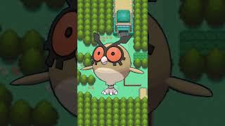 Could I beat these Pokémon in a fight? - Hoothoot, Noctowl