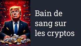 Bain de sang sur les Cryptos. Comment protéger son argent ? Analyse complète !