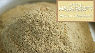 What is Maca Root and Why is It a Superfood?