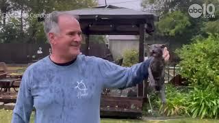 Animal Rescue: Sacramento man rescues kitten from drowning | Storm Watch