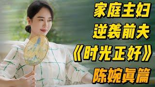 《时光正好》陈婉真篇一口气看完，家庭主妇逆袭前夫，爆火全网 #影视解说 #中国电视剧 #大陆剧