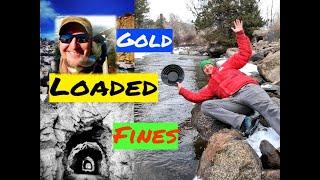 Epic Colorado Gold Prospecting!