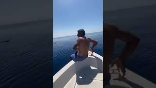 A breathtaking video of a Saudi citizen swimming in the sea with a whale in Yanbu