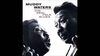 Muddy Waters - You Can't Lose What You Never Had [HD]